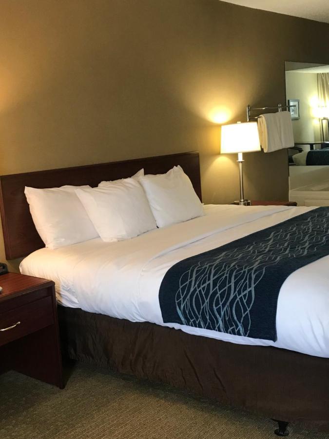 Comfort Inn Cambridge Buitenkant foto