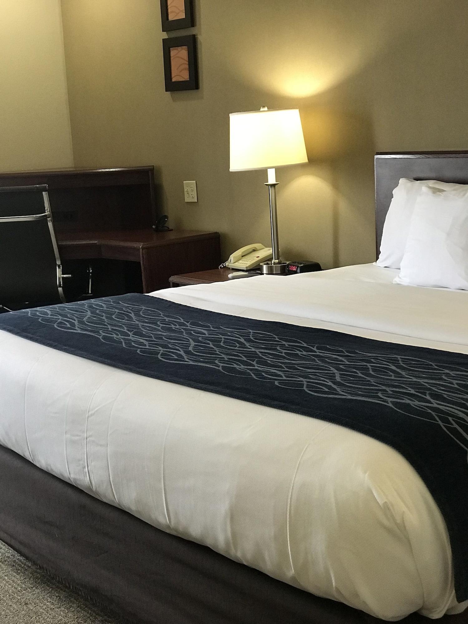 Comfort Inn Cambridge Buitenkant foto