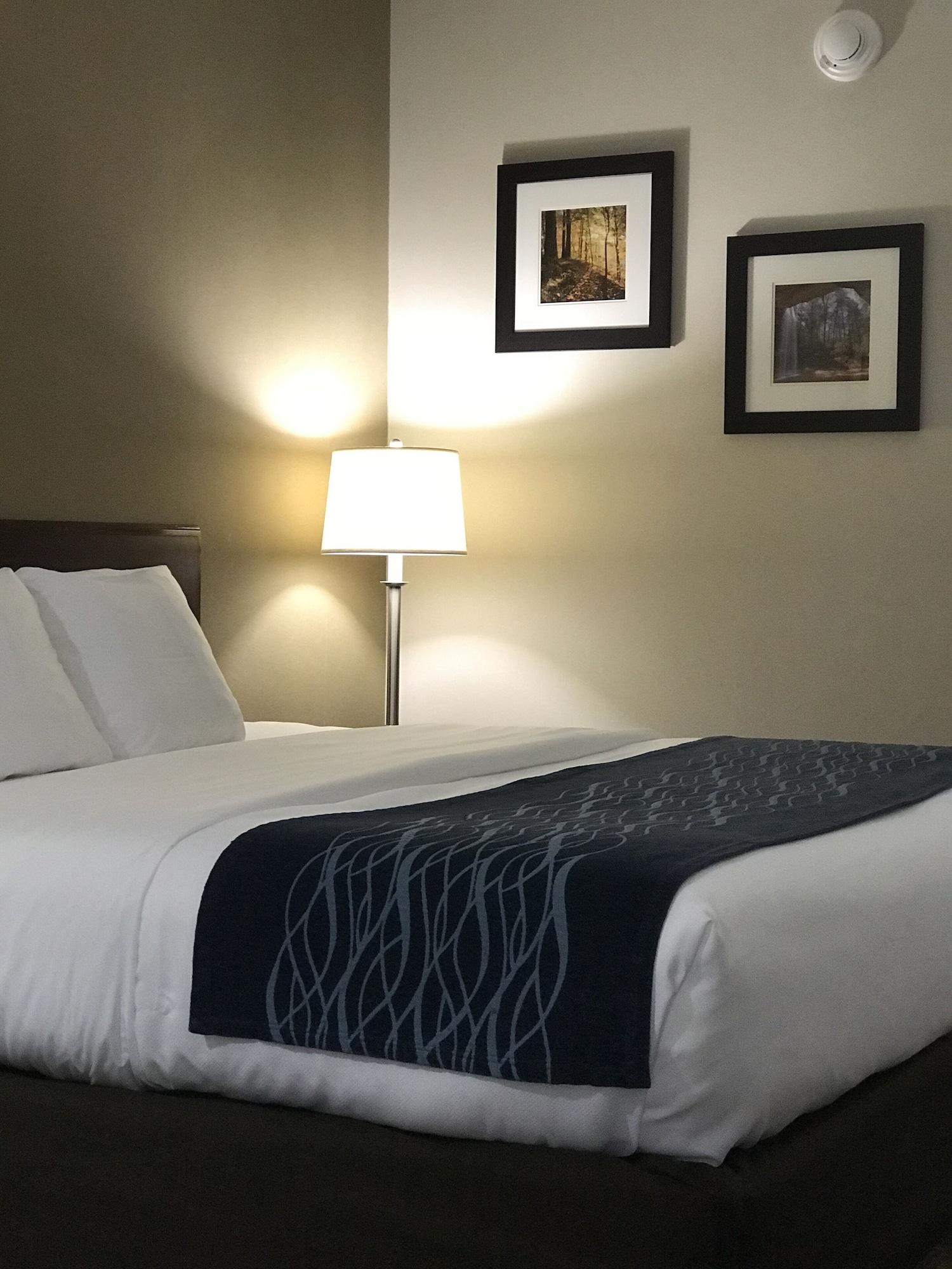 Comfort Inn Cambridge Buitenkant foto