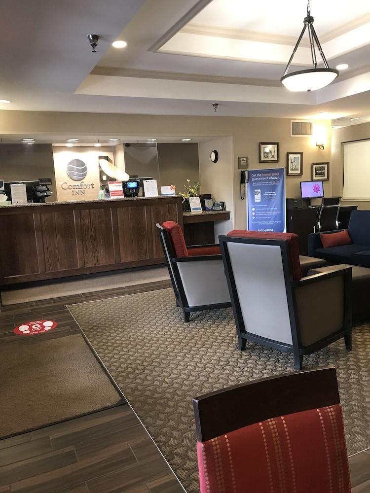 Comfort Inn Cambridge Buitenkant foto